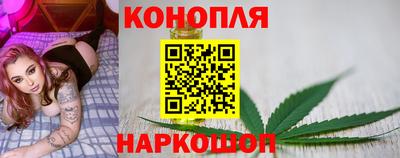 прущие грибы Ликино-Дулёво